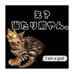 [LINEスタンプ] アテレアスタンプ