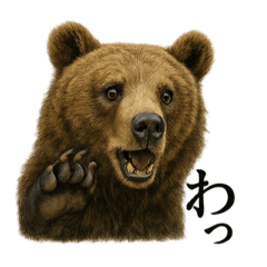 [LINEスタンプ] 【叫ぶ！】リアルすぎるクマさんの絶叫LINE