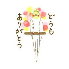 [LINEスタンプ] カワイインコ〜オカメインコ〜