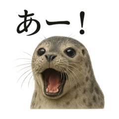 [LINEスタンプ] 【叫ぶ！】リアルなアザラシの絶叫スタンプ