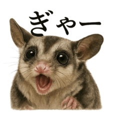 [LINEスタンプ] 【叫ぶ！】リアルすぎるフクロモモンガ絶叫