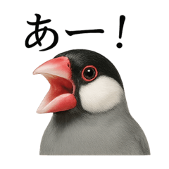 [LINEスタンプ] 【叫ぶ！】リアルすぎる文鳥の絶叫スタンプ
