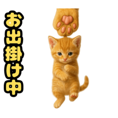 [LINEスタンプ] ❤︎あかにゃん❤︎茶虎,,,,,,