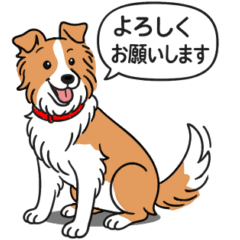 [LINEスタンプ] ボーダーコリー(レッド＆ホワイト)