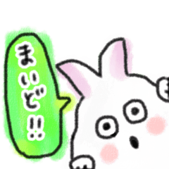 [LINEスタンプ] 卯ちゃん 関西弁編