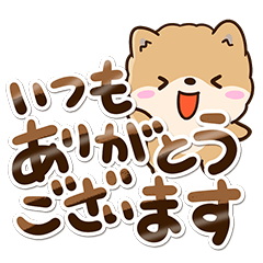 [LINEスタンプ] ちびポメラニアン【敬語】