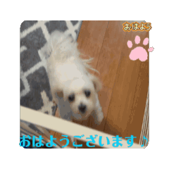 [LINEスタンプ] めりる20250517