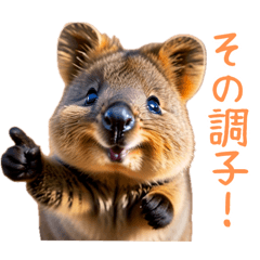 [LINEスタンプ] ハッピーアニマル_クオッカワラビー36