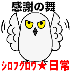 [LINEスタンプ] シロフクロウ★キュートな使える日常会話