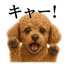 [LINEスタンプ] 【叫ぶ！】リアルすぎるトイプードルの絶叫