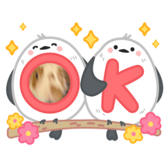 [LINEスタンプ] アニマルなんです。うさぎのフッくん