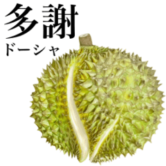 [LINEスタンプ] 熟した ドリアン 【台湾語】
