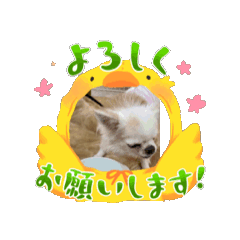 [LINEスタンプ] 備後弁おやじの家族