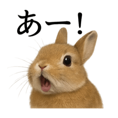 [LINEスタンプ] 【叫ぶ！】リアルすぎるうさぎの絶叫