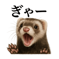 [LINEスタンプ] 【叫ぶ！】リアルすぎるフェレットの絶叫