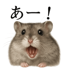 [LINEスタンプ] 【叫ぶ！】リアルすぎるハムスターの絶叫