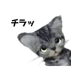 [LINEスタンプ] 羊毛にゃんこだニャン