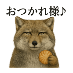 [LINEスタンプ] 【癒し】チベットスナギツネのカフェ LINE