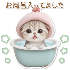 [LINEスタンプ] 可愛い猫 シール風パステル 思いやり 敬語