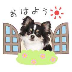 [LINEスタンプ] うちのコStamp No:5459の画像（メイン）
