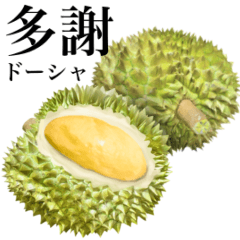 [LINEスタンプ] 熟した ドリアン 【台湾語】2