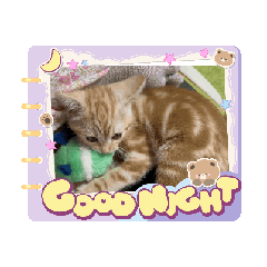 [LINEスタンプ] パートナー1