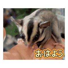 [LINEスタンプ] じゅんパパとツインズ＆くりりんココ