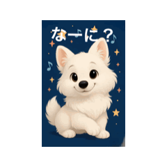 [LINEスタンプ] ハクの部屋／動く可愛いスタンプ
