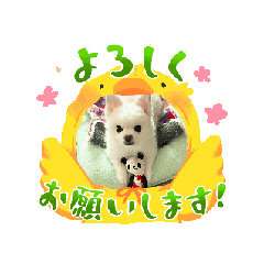 [LINEスタンプ] MilkyWorld4