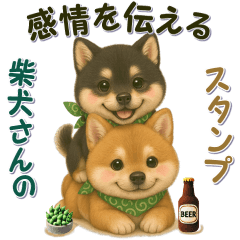[LINEスタンプ] 柴犬さんの感情を伝えるスタンプ