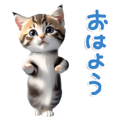 [LINEスタンプ] おどる♡ねこちぃず♡