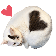 [LINEスタンプ] ハートにゃんのティグ