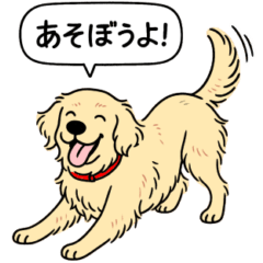 [LINEスタンプ] ゴールデンレトリバー(クリーム)
