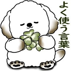 [LINEスタンプ] わんちゃん 2025 「いつもよく使う言葉」