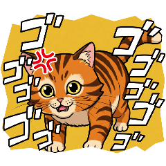 [LINEスタンプ] 【怒る猫】