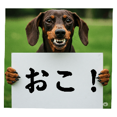 [LINEスタンプ] ダックスフンドからの【お知らせ】