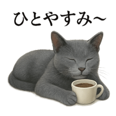 [LINEスタンプ] 【癒し】ロシアンブルーのまったりカフェ