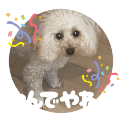[LINEスタンプ] めるるの新一セレクト⑥関西弁版