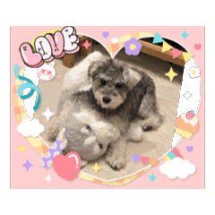 [LINEスタンプ] ショコラ コレクション