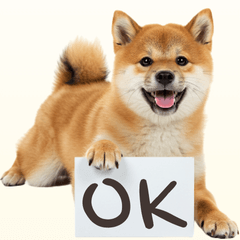 [LINEスタンプ] 看板を持つ柴犬の伝えるスタンプ