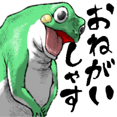 [LINEスタンプ] どうぶつが大好き03カエル_ver5日常会話β