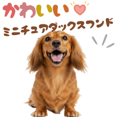 [LINEスタンプ] いつでも使えるミニチュアダックスフンド
