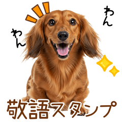 [LINEスタンプ] 敬語のミニチュアダックスフンド
