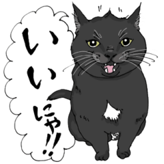 [LINEスタンプ] 猫の気持ち・黒猫編