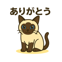 [LINEスタンプ] おしゃべりシャムにゃんこ