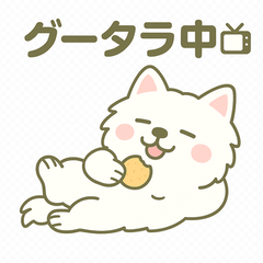 [LINEスタンプ] ハクの部屋／日常使いの主婦の会話