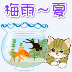 [LINEスタンプ] 子猫ねこネコ 梅雨～夏