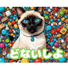 [LINEスタンプ] 関西弁で短く思いを伝えるねこ