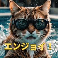 [LINEスタンプ] ゆるっと猫のオシゴトスタンプ