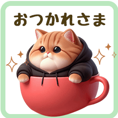 [LINEスタンプ] 毎日使える★黒いパーカーのまんまる猫